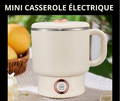 MINI CASSEROLE ÉLECTRIQUE PORTABLE